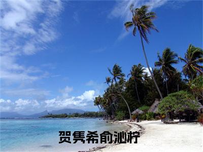 贺隽希俞沁柠小说免费阅读（贺隽希俞沁柠）全文免费阅读大结局-（贺隽希俞沁柠小说免费阅读）好书推荐