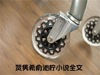 贺隽希俞沁柠（贺隽希俞沁柠）全文免费阅读_贺隽希俞沁柠（贺隽希俞沁柠）最新章节小说免费阅读