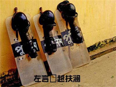 小说(左言彧越扶澜)全文免费阅读_(左言彧越扶澜)小说全文免费阅读