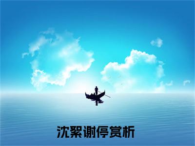 沈絮谢停最火热点小说最新更新-沈絮谢停全文免费无弹窗
