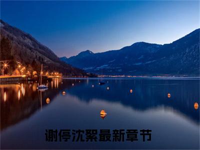 小说（谢停沈絮）最新章节免费阅读-（谢停沈絮）小说全文无删减版