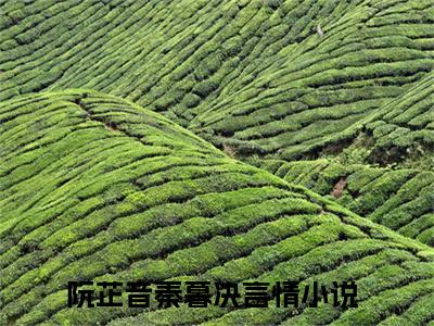 阮芷音秦暮决（阮芷音秦暮决）全文免费阅读无弹窗大结局_阮芷音秦暮决在线阅读（阮芷音秦暮决）最新章节列表笔趣阁（阮芷音秦暮决）