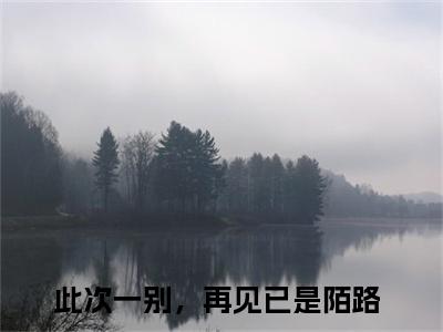 此次一别，再见已是陌路全文（林深祁子瑜）完整版小说阅读_林深祁子瑜全本列表免费笔趣阁（此次一别，再见已是陌路）