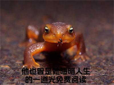 白漓季凛烨完结版小说他也曾是她晦暗人生的一道光全文在线免费阅读_他也曾是她晦暗人生的一道光最新章节列表_笔趣阁