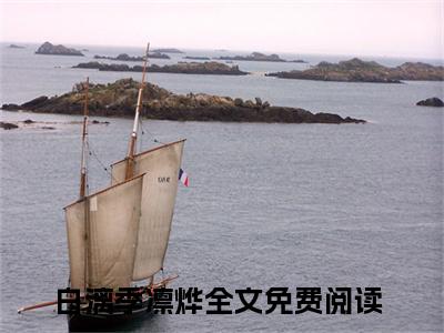 （白漓季凛烨小说完整版）他也曾是她晦暗人生的一道光全文免费阅读-（他也曾是她晦暗人生的一道光）白漓季凛烨小说最新章节列表
