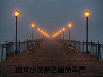抖音新上热文蔺含烟徐奉霄-抖音热推小说无弹窗阅读