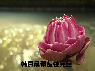 韩慕晨秦楚楚阅读无弹窗大结局_韩慕晨秦楚楚最新章节列表_笔趣阁