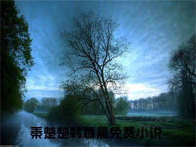 秦楚楚韩慕晨甜宠小说哪里能看秦楚楚韩慕晨-秦楚楚韩慕晨小说阅读全集