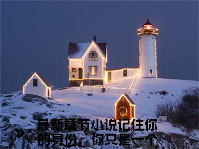 记住你的身份，你只是一个替身舒虞霍闻檀免费阅读大结局无弹窗-记住你的身份，你只是一个替身小说推荐舒虞霍闻檀精彩章节在线阅读