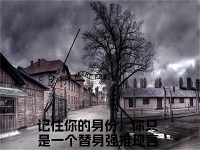 舒虞霍闻檀（记住你的身份，你只是一个替身）全文免费阅读无弹窗_舒虞霍闻檀最新小说_笔趣阁