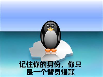 记住你的身份，你只是一个替身(舒虞霍闻檀)全文免费阅读无弹窗_（记住你的身份，你只是一个替身全文免费阅读无弹窗）记住你的身份，你只是一个替身最新章节列表_笔趣阁(舒虞霍闻檀)