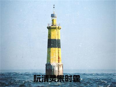 阮清灵宋时霆最新完结免费阅读-阮清灵宋时霆悬疑小说在线阅读