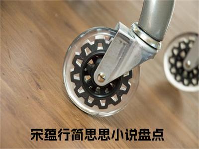 宋蕴行简思思（宋蕴行简思思小说全文）在线阅读-宋蕴行简思思全文免费阅读无弹窗大结局