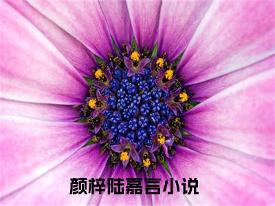 颜梓陆嘉言小说全文免费阅读 颜梓陆嘉言小说全文在线赏析_笔趣阁