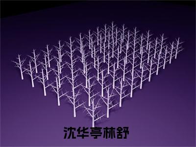 热度超高沈华亭林舒小说-小说完整版全文资源阅读