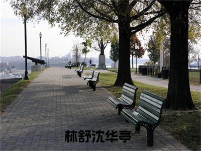 林舒沈华亭小说免费阅读（林舒沈华亭）全文免费阅读无弹窗大结局_林舒沈华亭小说免费阅读最新章节列表_笔趣阁（林舒沈华亭）