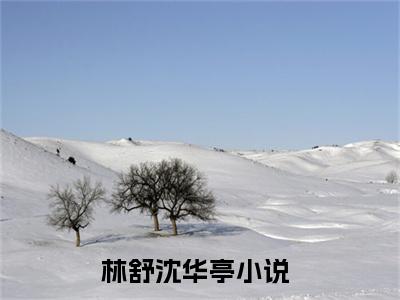 林舒沈华亭小说在线阅读全文免费阅读无弹窗大结局_林舒沈华亭小说免费最新章节列表_笔趣阁