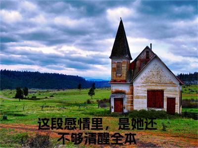 宁云舒沈承则无广告小说免费阅读，宁云舒沈承则这段感情里，是她还不够清醒完结小说在线阅读