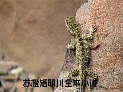 主角为苏橙洛明川的抖音小说（苏橙洛明川）讲的是什么-主角为苏橙洛明川的小说叫什么