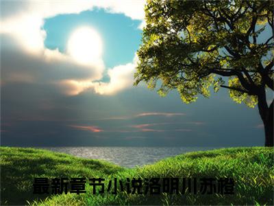 洛明川苏橙(洛明川苏橙)全文免费阅读无弹窗大结局_(洛明川苏橙在线阅读)洛明川苏橙最新章节列表笔趣阁（洛明川苏橙）