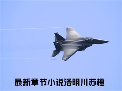 洛明川苏橙(洛明川苏橙)全文免费阅读无弹窗大结局_(洛明川苏橙在线阅读)洛明川苏橙最新章节列表笔趣阁（洛明川苏橙）
