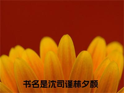 沈司谨林夕颜（沈司谨林夕颜）全文免费阅读无弹窗大结局_沈司谨林夕颜(沈司谨林夕颜)小说结局免费阅读（沈司谨林夕颜）