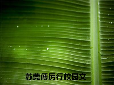 苏莞傅厉行(苏莞傅厉行)全文免费阅读无弹窗大结局_(苏莞傅厉行免费阅读全文大结局)最新章节列表_笔趣阁（苏莞傅厉行）