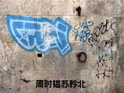 周时韫苏矜北的小说全文免费阅读无弹窗,主角名字是周时韫苏矜北的小说在线免费阅读大结局