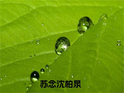 （苏念沈柏泉）七零：穿成反派糙汉的炮灰前妻小说小说免费苏念沈柏泉读无弹窗最新章节列表_笔趣阁（七零：穿成反派糙汉的炮灰前妻）