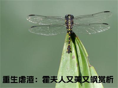 沈栀霍谨言全文免费阅读无弹窗,重生虐渣：霍夫人又美又飒小说最新章节列表无删减_笔趣阁