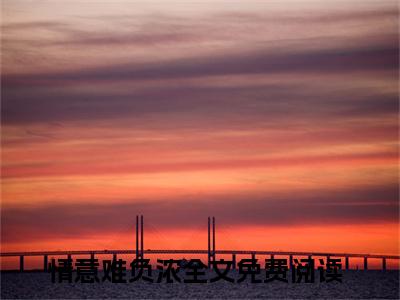情意难负浓（简亦宁陆子墨）全文免费阅读无弹窗_简亦宁陆子墨最新小说