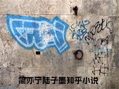 简亦宁陆子墨（情意难负浓全文在线阅读）-简亦宁陆子墨免费阅读
