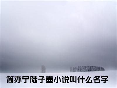 情意难负浓小说（简亦宁陆子墨）免费阅读-简亦宁陆子墨（情意难负浓）全章节最新阅读