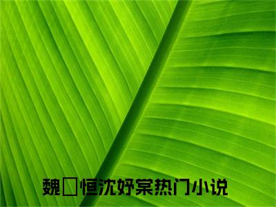 魏璟恒沈妤棠在线阅读无弹窗_魏璟恒沈妤棠最新章节列表_笔趣阁