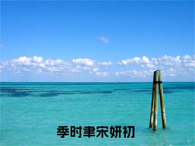 最火言情小说（季时聿宋妍初）-老书虫良心推荐季时聿宋妍初（季时聿宋妍初）小说精彩免费试读