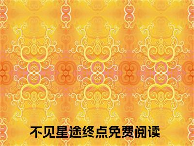 不见星途终点（沈淮琛林明殊最新全章节大结局）全文阅读