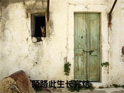 陌路此生长(沈念昭宋彦津)全文免费阅读_沈念昭宋彦津(陌路此生长)全文阅读_笔趣阁（沈念昭宋彦津）