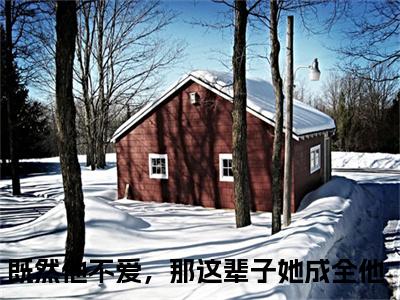 洛挽茵江思铎（既然他不爱，那这辈子她成全他）全文小说免费阅读-洛挽茵江思铎最新章节列表_笔趣阁