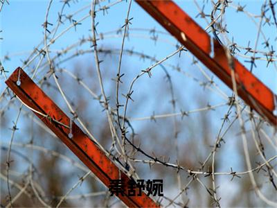 秦舒婉热门小说在哪免费看-小说穿越七零，我靠星际营养液度日（秦舒婉）完整版全文在线赏析