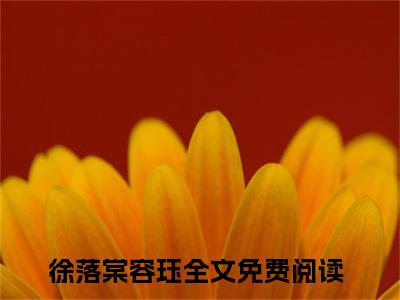 穿书：我成了虐文男主的小后妈（徐落棠容珏）全文免费阅读无弹窗大结局_穿书：我成了虐文男主的小后妈最新章节列表（徐落棠容珏）