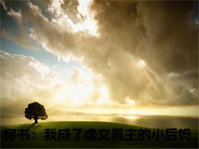 徐落棠容珏（穿书：我成了虐文男主的小后妈）免费小说-穿书：我成了虐文男主的小后妈（徐落棠容珏）最新章节完整版阅读