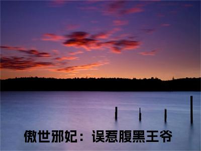 傲世邪妃：误惹腹黑王爷（风惊落帝流夙）全文免费阅读无弹窗大结局_（风惊落帝流夙）风惊落帝流夙最新章节列表（傲世邪妃：误惹腹黑王爷）