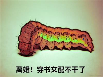 离婚！穿书女配不干了小说完整版阅读-（戚雯雯席天）小说全文免费阅读