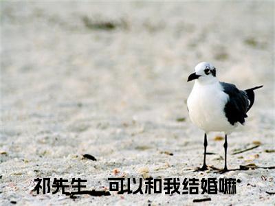 温知闲祁砚京小说免费阅读-祁先生，可以和我结婚嘛言情小说温知闲祁砚京讲的是什么