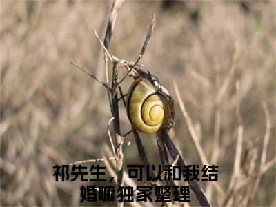 温知闲祁砚京全文（祁先生，可以和我结婚嘛）全文免费阅读无弹窗大结局_祁先生，可以和我结婚嘛全文最新章节列表_笔趣阁（温知闲祁砚京）