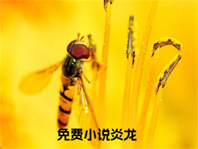 铠甲：我端木将军，正的发邪在线阅读（炎龙）全文免费阅读_炎龙最新章节列表_笔趣阁