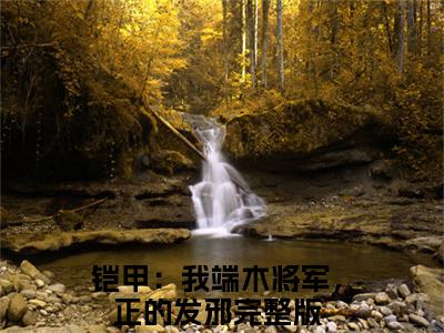 铠甲：我端木将军，正的发邪小说免费（炎龙）全文免费阅读无弹窗-铠甲：我端木将军，正的发邪小说全文免费阅读-笔趣阁