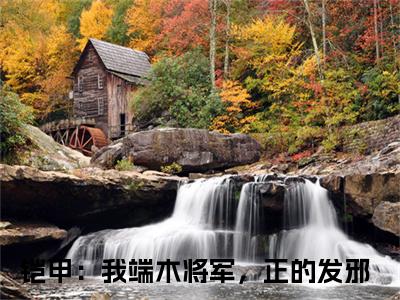 炎龙小说（铠甲：我端木将军，正的发邪）全文免费阅读无弹窗_（铠甲：我端木将军，正的发邪）炎龙最新章节列表_笔趣阁（炎龙）