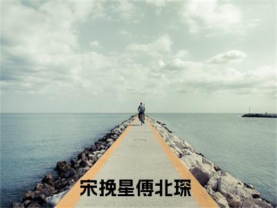 宋挽星傅北琛（宋挽星傅北琛）全文免费阅读_（宋挽星傅北琛）最新章节列表笔趣阁