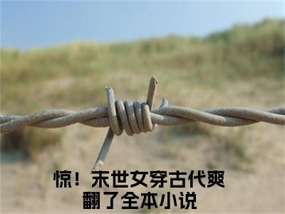 洛未央(惊！末世女穿古代爽翻了)全文免费阅读无弹窗大结局_(惊！末世女穿古代爽翻了免费阅读全文大结局)最新章节列表_笔趣阁（洛未央）
